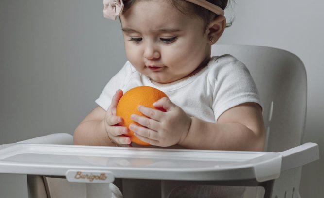 Introdução Alimentar